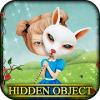 Hidden Object - Curiouser加速器