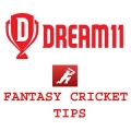 Fantasy Cricket - Dream 11 Tips加速器