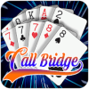 CallBridge Offline 3D加速器