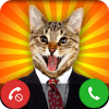 * fake call cat New * The Simulator加速器