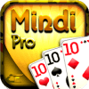 Mindi Pro加速器