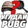 Угадай PUBG