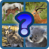 Guess the Animal!加速器