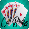 Call Bridge Pro加速器