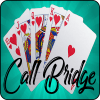 Call Bridge Pro