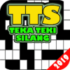 TTS 2019加速器