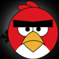 NEW Angry Chicken-Knock Down