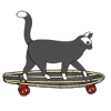 Skate Cat加速器