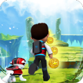 * super Paw Surfer Patrol: Marshall Adventure