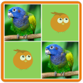 Birds Memory Match Game