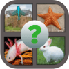 Guess the Animals Image Quiz加速器