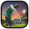 Real Game Cricket 2018加速器