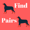 Find Pairs Memory Game