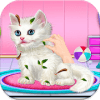 Cute Kitty care game加速器