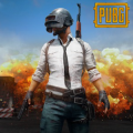 PUBG Mobile Battle Royal FPS Gun Game加速器