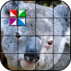 Tile Puzzle Koala Bear加速器