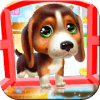 Puppy Pet Daycare - Puppy games for girls加速器