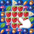 Fruits Garden Mania Blast