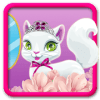 kitty pet care (Cat Day Care & Fun)