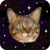 Cats In Space! Galactic Mice加速器