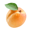 Fruit Fragments