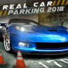 Real Car Parking Challenge 2018
