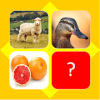 Guess picture name quiz加速器
