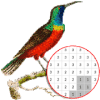 Bird Color By Number - Pixel Art