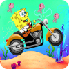 Sponge super bob Racing