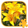 Jigsaw Puzzles Flowers Games加速器