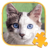 Jigsaw Puzzles Cat Games