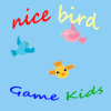 Nice Bird 2019加速器