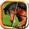 Horse Slide Puzzle: free horses slider puzzle