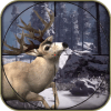 Animal Shooting Hunt In Forest 3D