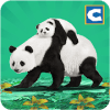 Panda Family Fun: Jungle Survival加速器