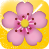 Blossom Garden 2018