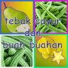 Tebak Sayur Dan Buah Buahan加速器