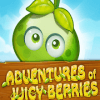 Adventures Of Juicy Berries加速器