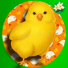 Yellow Chick Game