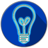 Lit The Bulb