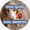 DOG QUIZ - DOG BREEDS