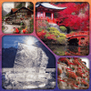 Live Jigsaws Beautiful Places加速器