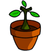 Potted Plant加速器