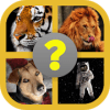 4 IN 1: Guess The Word Quiz Puzzle