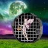 Night Fairy Escape加速器