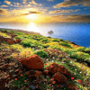 Landscape Jigsaw Puzzles加速器