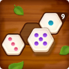 Number Puzzle Hexa