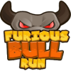 Furious bull run加速器