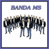 Banda MS Videos Musica加速器