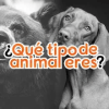 Quiz - ¿Qué tipo de animal eres?